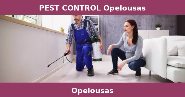 PEST CONTROL Opelousas